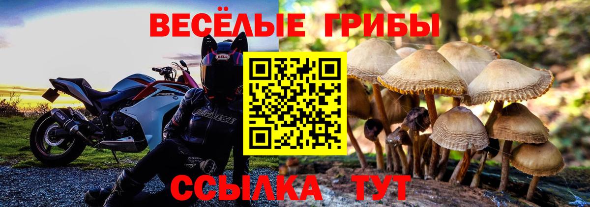 Галлюциногенные грибы MAGIC MUSHROOMS  Вход с VPN  Псилоцибиновые грибы Cubensis  Унеча 
